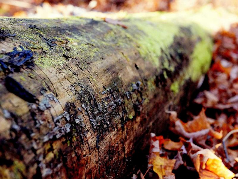 sudoku space theme screenshot 4